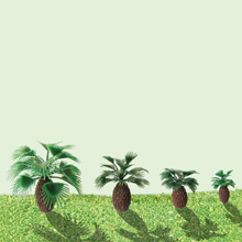 model trees